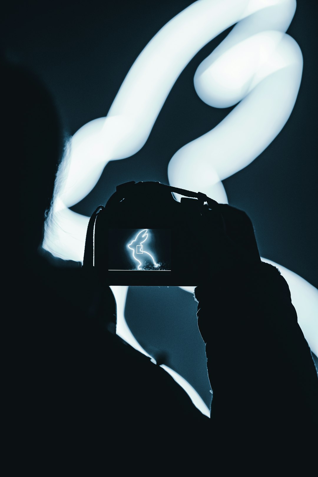 cómo usar cámaras mirrorless 2025 3