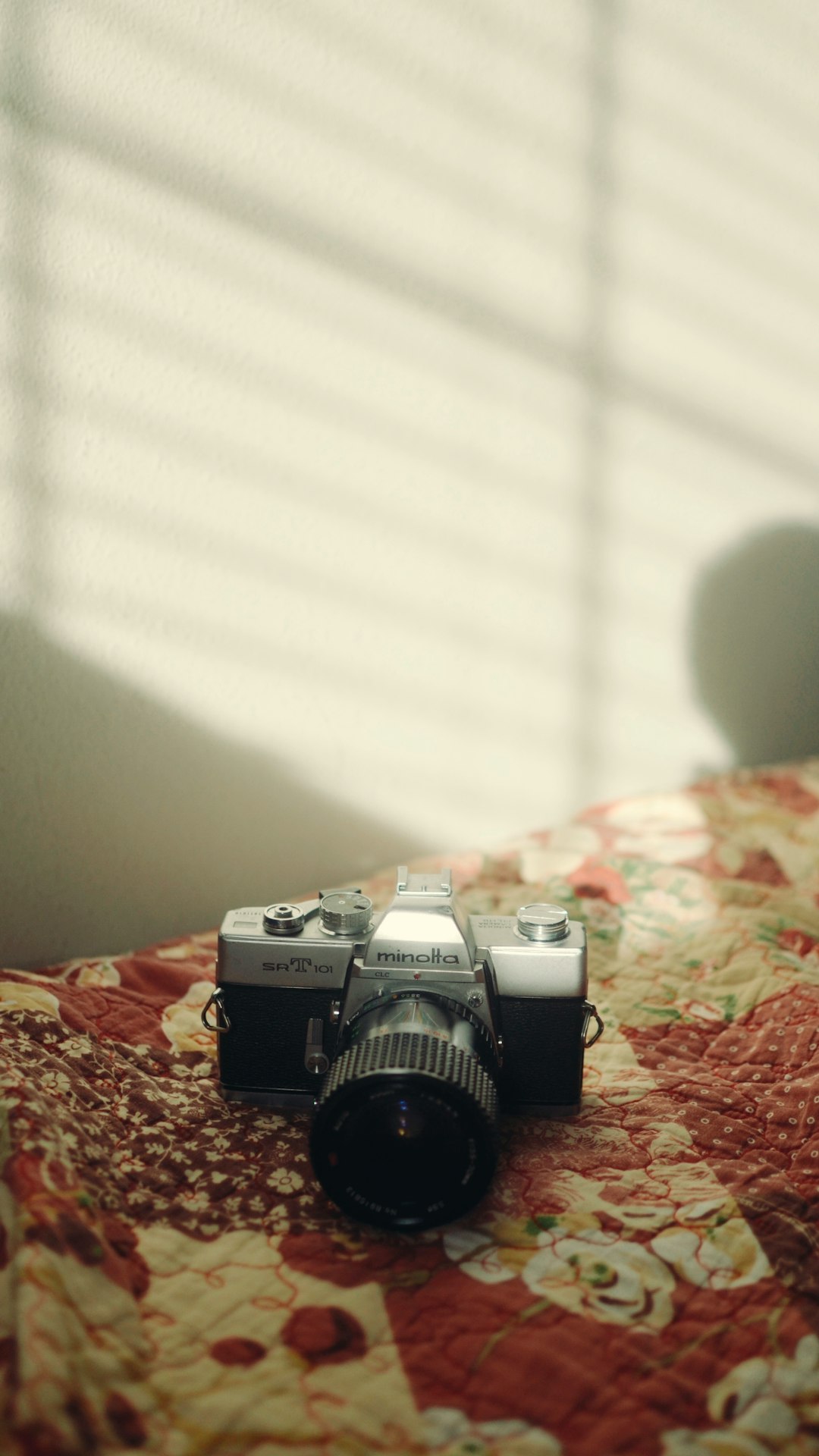 cómo usar cámaras mirrorless 2025 3