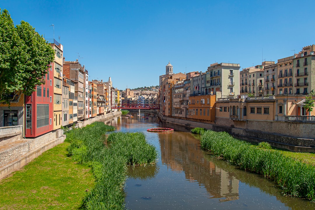 viajes culturales en Bilbao 2025 imagen 1